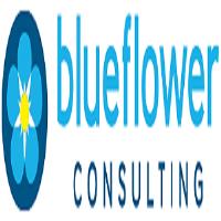 Blueflower Consulting image 1